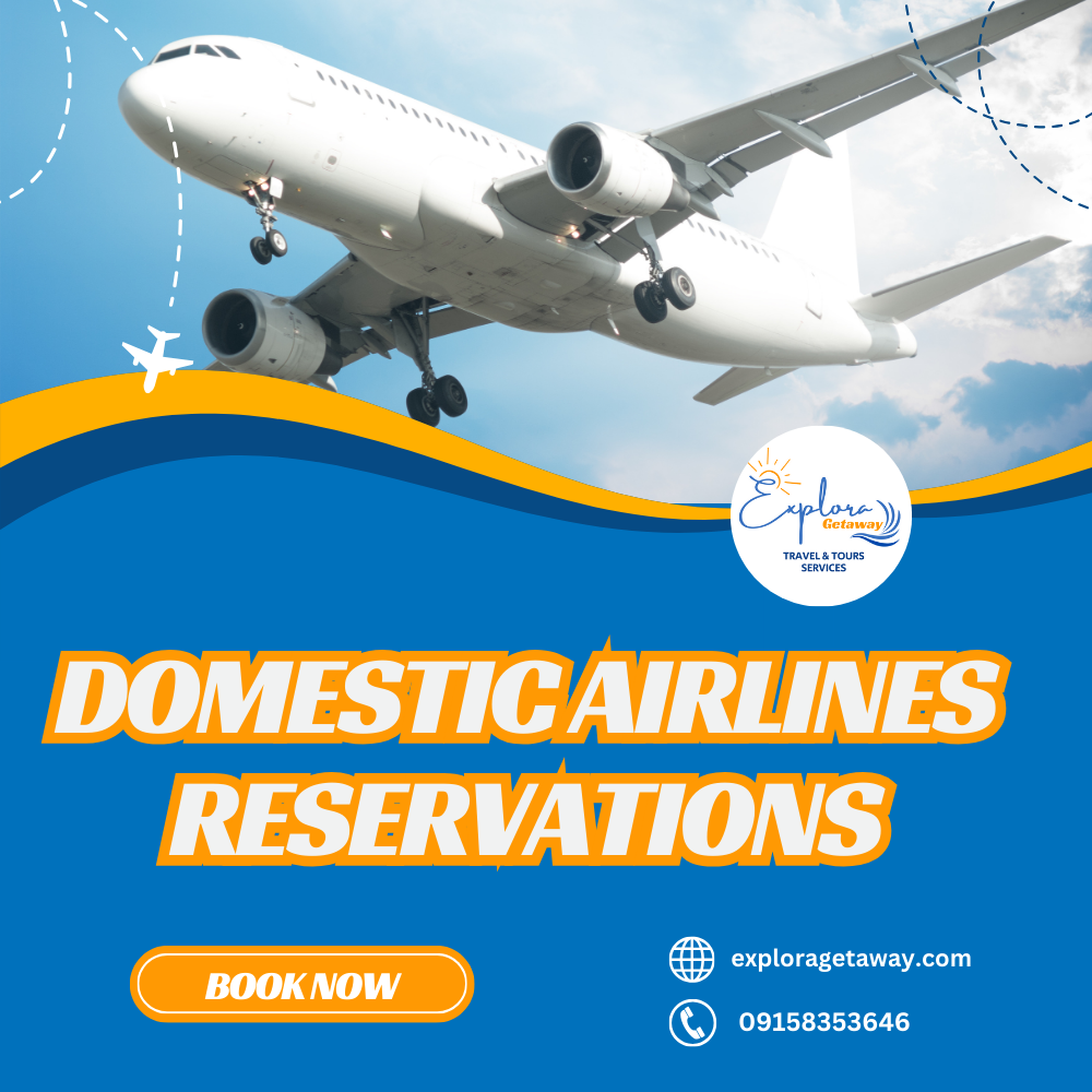 Domestic Airline Reservations