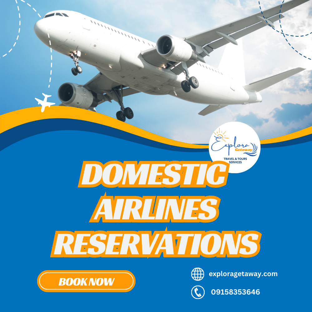 Domestic Airlines Reservations